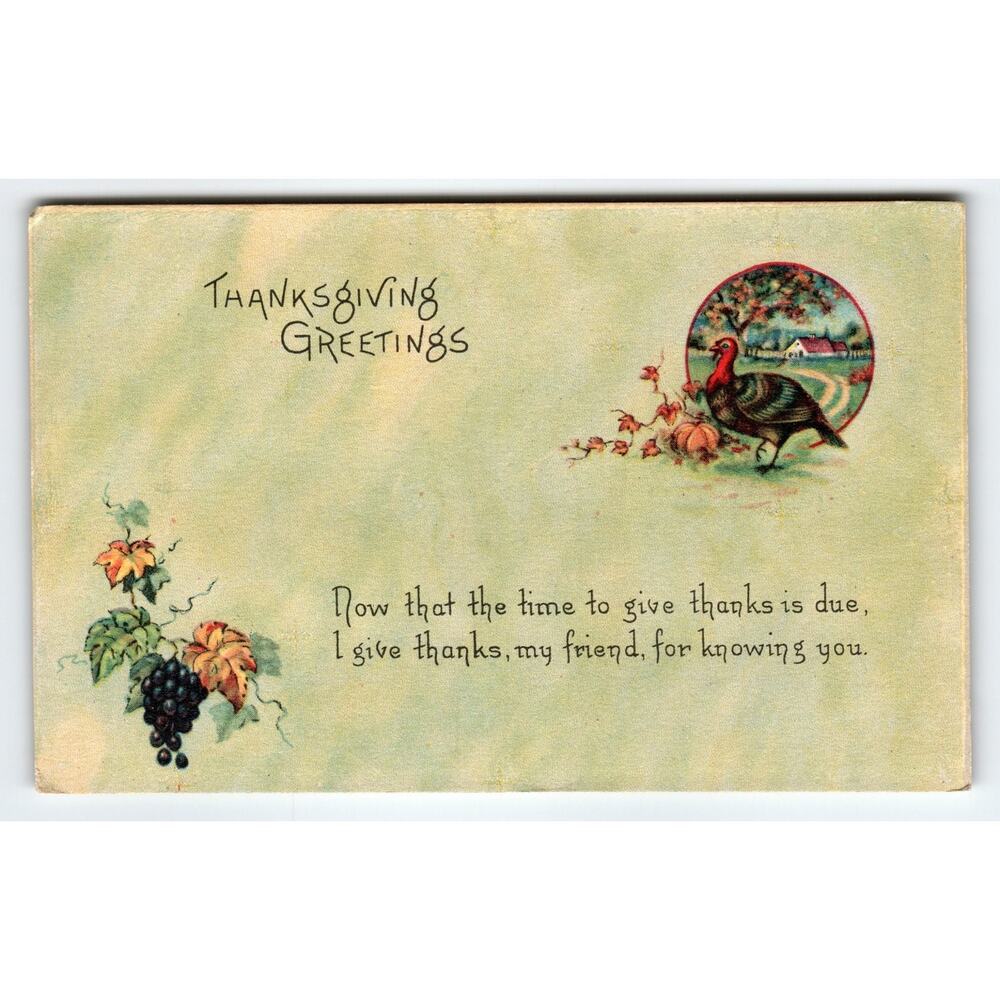 Vintage Thanksgiving Greetings Turkey Lithograph Postcard 5.5x3.5in